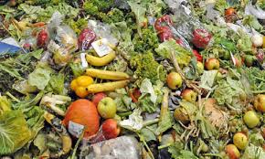 Food Waste Reduction: A Global Imperative